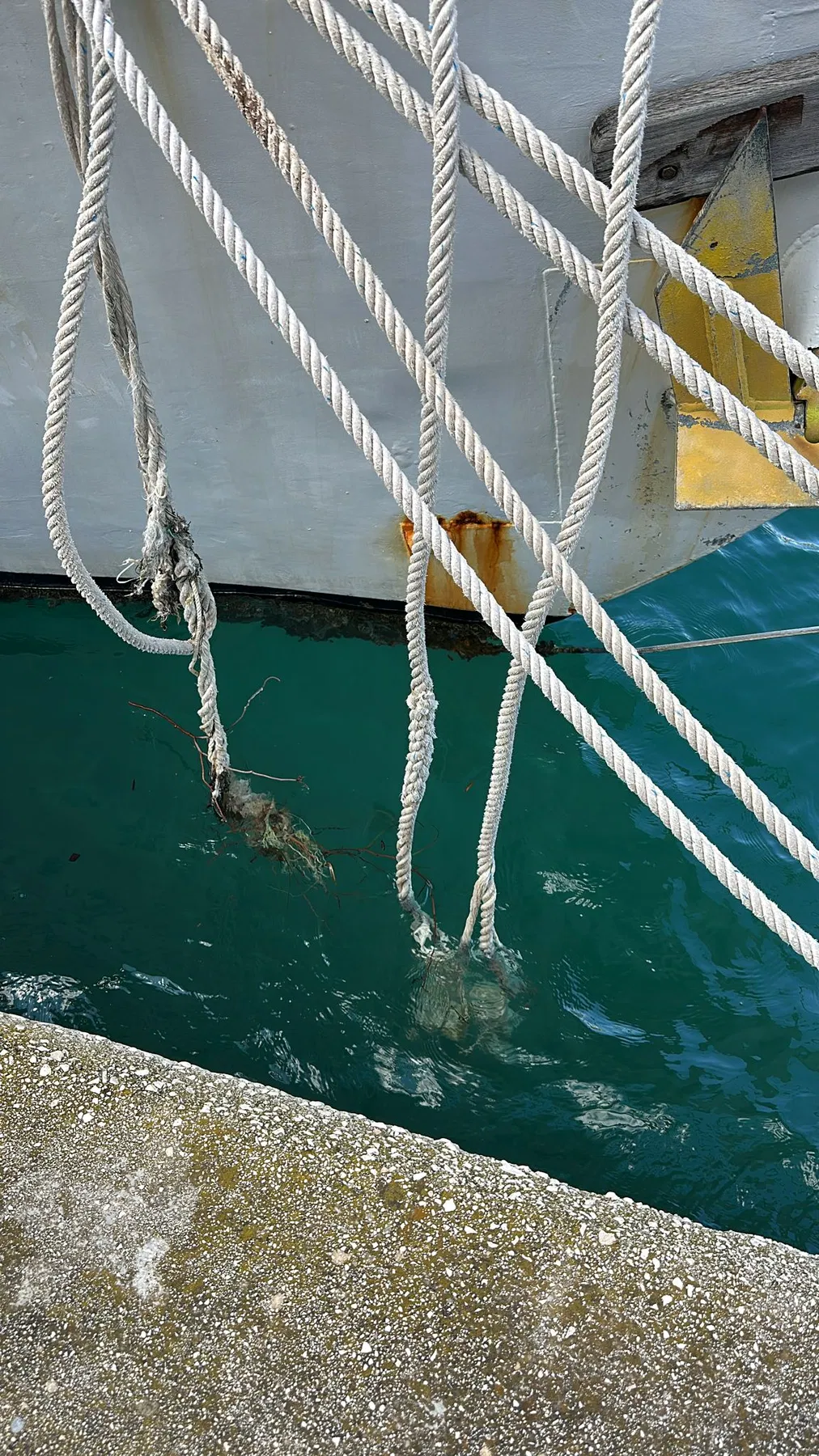 NAUSICAA, le bateau identifié dans le déroulé documenté comme ayant heurté SANKARA — autre gros plan d’aussières pendantes et effilochées dans la zone d’amarrage.